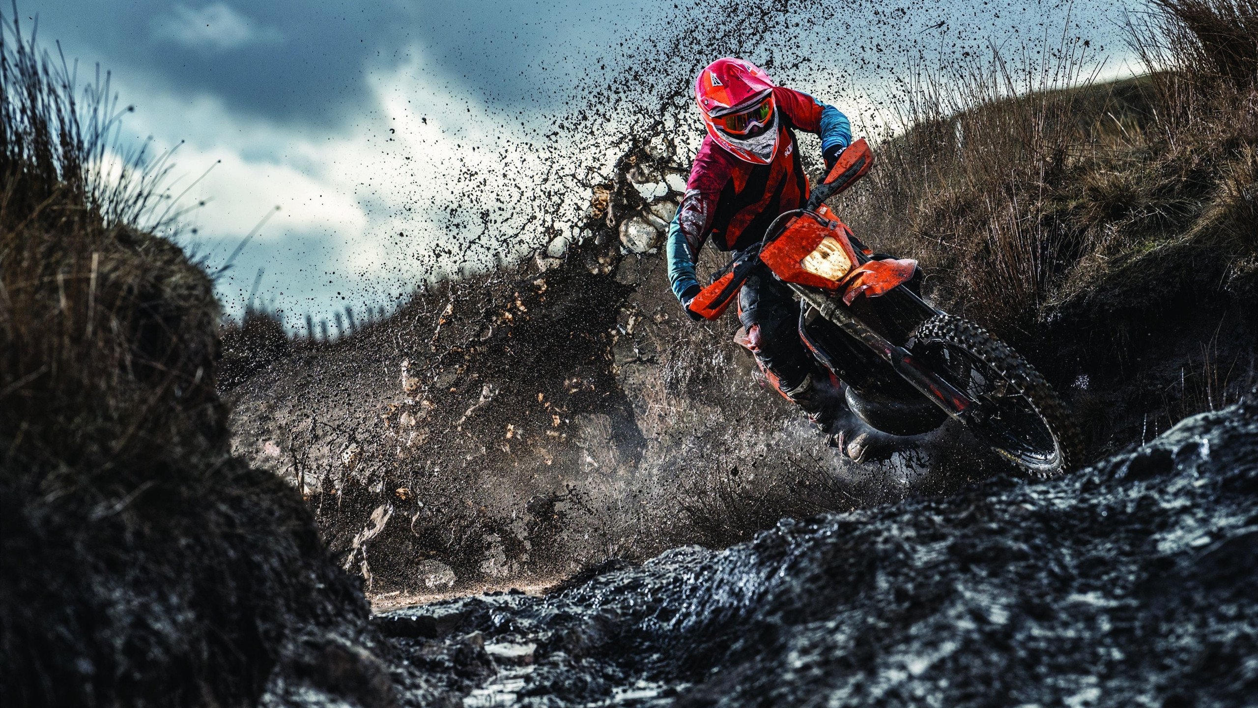 街道与球场,当乔治的F1引擎遇见浙江铁骑